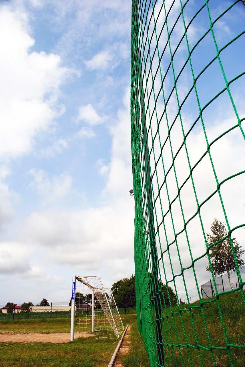 荣耀的前提 荣耀的前提