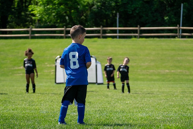 他们不仅拥 他们不仅拥