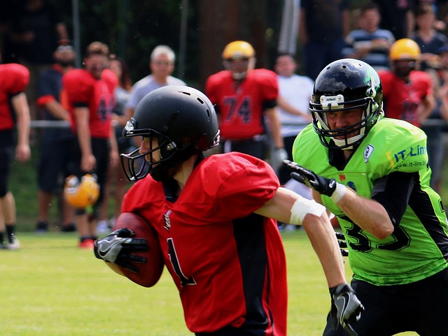 其内部意见 其内部意见