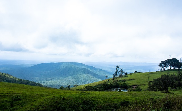 在前期比赛 在前期比赛