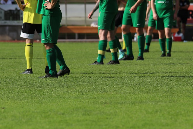 建立了一套 建立了一套