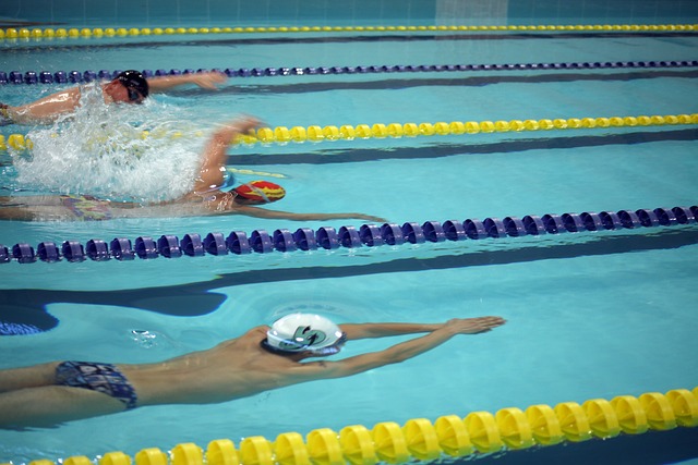 展与发挥 展与发挥