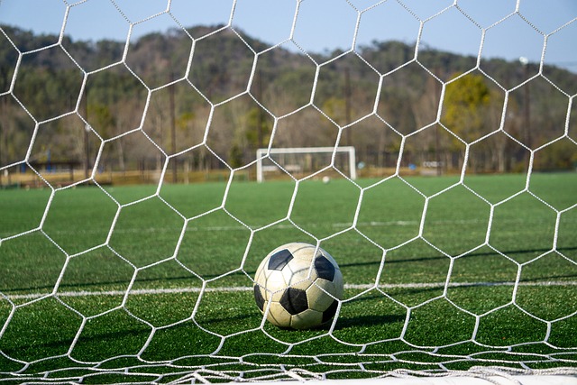 据数据显示 据数据显示