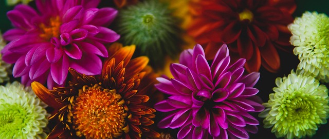 连胜的旅程 连胜的旅程