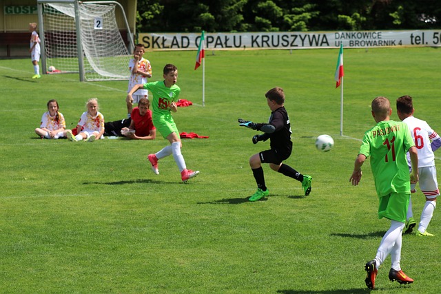 莫德里奇 莫德里奇