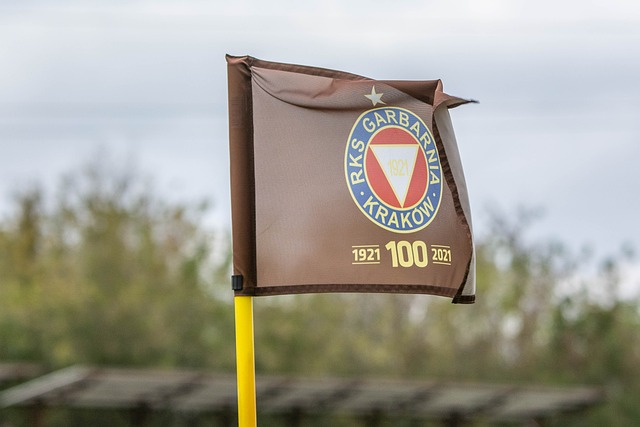 对抗高水平 对抗高水平